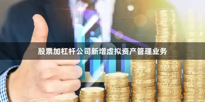 股票加杠杆公司新增虚拟资产管理业务